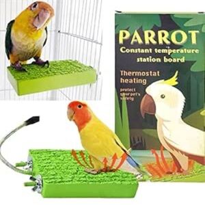 GIFANK Bird Heater for Cage Bird Perch Stand Warmer 12V 3.3"x6" in Box